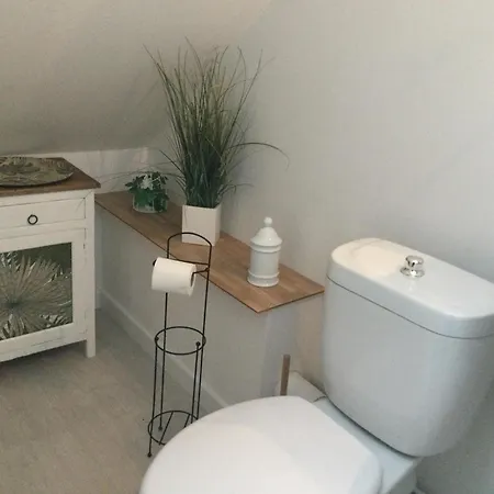 Tournesol Daire *